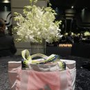 베리굿PC | [베리굿웨딩] 동행플래너 상담 및 추천 후기(2025.11)