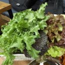 돈돼지백반 이미지