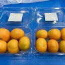 김종현 태권도 이미지