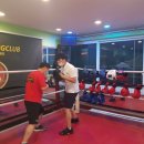 용인대부평복싱 이미지