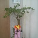 가람수한의원 이미지