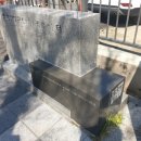 오동동155 이미지