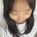 햇빛안마클리닉 | 장현지구 미용실 플랜에이치헤어 은영원장님 밀본 클리닉 후기