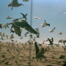 드다니엘(de Daniel) 이미지