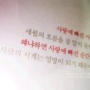 민에프씨 이미지