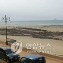 사구해수욕장1 이미지