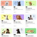 누리켄넬 | 강아지 MBTI 카미 멍BTI 코카스파니엘 성격 테스트 후기