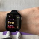 하루운동 | 스텝퍼 하루 1시간 운동후기/30일 챌린지 Day18 변화