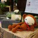 Amimong(아미몽) 이미지