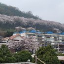 순천만국가정원프렌즈 이미지