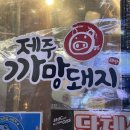 제주까망돼지 이미지