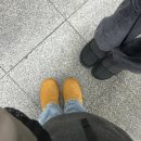 홍대 실내동물원 “테이블에이”, 라쿤/기니피그/알파카 데이트코스 이색카페 추천 내돈내산 솔직후기