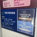 임신 35주 임산부 성동구 백일해 신청방법과 접종후기, 미리미리 신청하세요!(+관내 접종병원 27개소)
