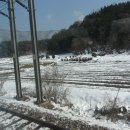 &#39;마포구 도화동 山 8&#39;번지---- 6십 년 대 서울의 모습 이미지