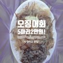 상미유통(중앙시장내) | 오징어 5마리 2만원에 득템 / 삼척중앙시장 2일7일 장날vs삼척항활어회센터 시세 꿀팁