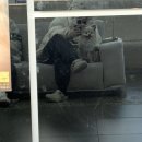 헬릭스동물메디컬센터 | 강아지 디스크 발견, 치료 기록