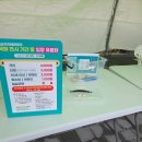 임실자연농원 | 임실 치즈 테마파크 임실 국화 축제 입장료