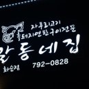 알동네집