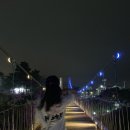 용연파머스