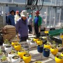 농업기술센터 농업미생물관 이미지