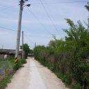 구봉산 가는길 이미지