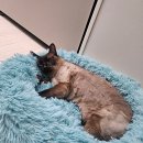 마레동물병원 이미지