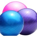 피트니스새봄 이미지