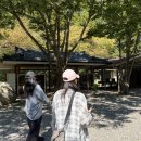 갯골산머루 민박 이미지