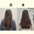 성덕미용실 이미지