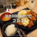 마쓰야마 치킨난반 맛집 고이치 본점 메뉴 추천 혼밥 후기 가라아게 맛있다