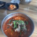 [강릉 여행] 초당본가 짬뽕 순두부 / 초당 110 순두부젤라또 솔직후기..