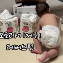 남매로L | 오로라 기저귀 러버스핏 후기3남매맘이 써본 흡수력·통기성 솔직리뷰