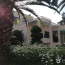 이어도성 이미지