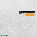 커먼Common