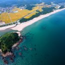 맹방관광지 이미지