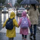 울산K방역 | 2026년 장마기간 언제 시작할까? 지역별 장마 시기와 끝나는 시점 총정리