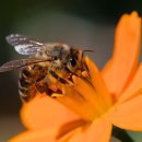 서비스기공사 이미지