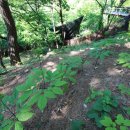 지유농장 이미지