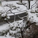 우장산공원길 이미지