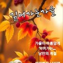 [아침묵상] 한국인의 관용과 배려심 이미지