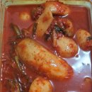 김장 김치 이미지