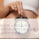 스마일허브다이어트