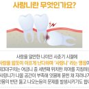 프라임치과 이미지