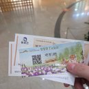 국립백두대간수목원 판매센터 | 경북 봉화 여행 '국립백두대간수목원' 내돈내산 솔직후기. Feat.백두산 호랑이 생일,트램,시드볼트를...