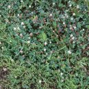 문선명농장 이미지