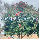 육지사람