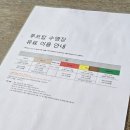 오션스테이D | 부산 해운대 신라스테이 숙박 후기(오션뷰 객실, 인피니티풀, 피트니스센터, 백미당)