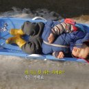 김영철농장 이미지