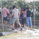 방산농장 이미지