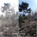 촌부의 단상-이래저래 재밌네! 이미지